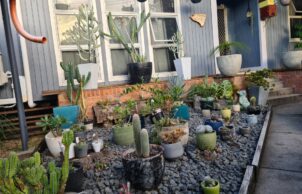 Sustainable Horticulture