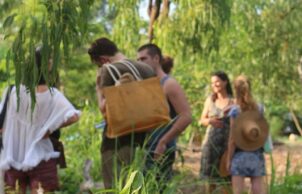 Lakeside Drive Community Garden