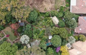 Moss House Edible Garden