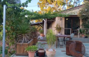 Chris and Kat's House