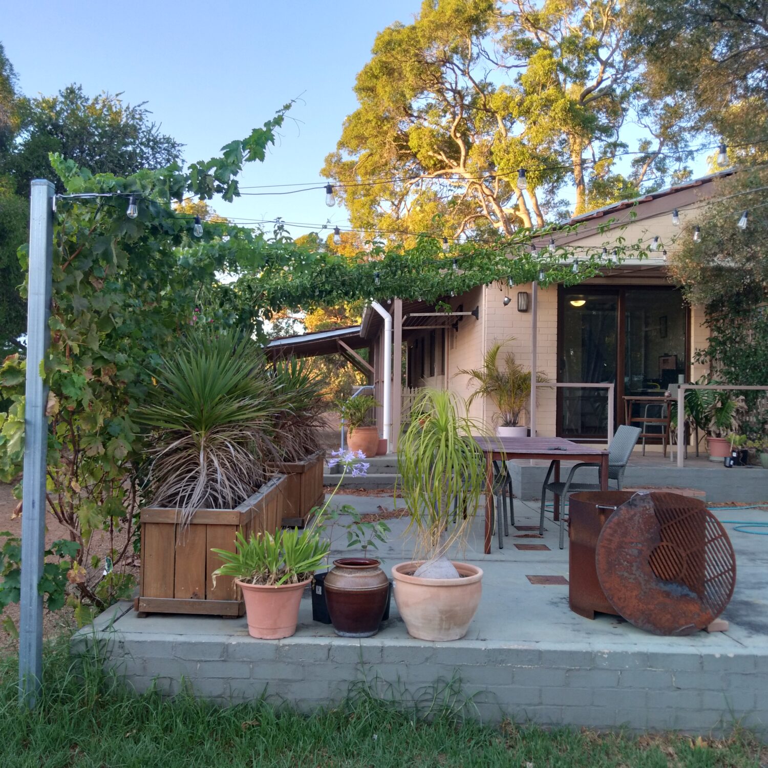 Chris and Kat's House