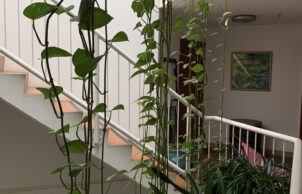 One bedroom apartment - Christie Walk