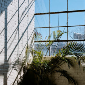 ian-battaglia-r-om9BAjIyzY-unsplash