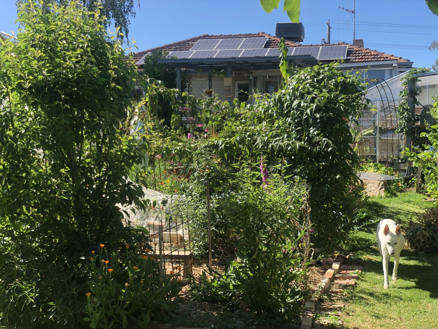 Bren and Steph's californian retrofit