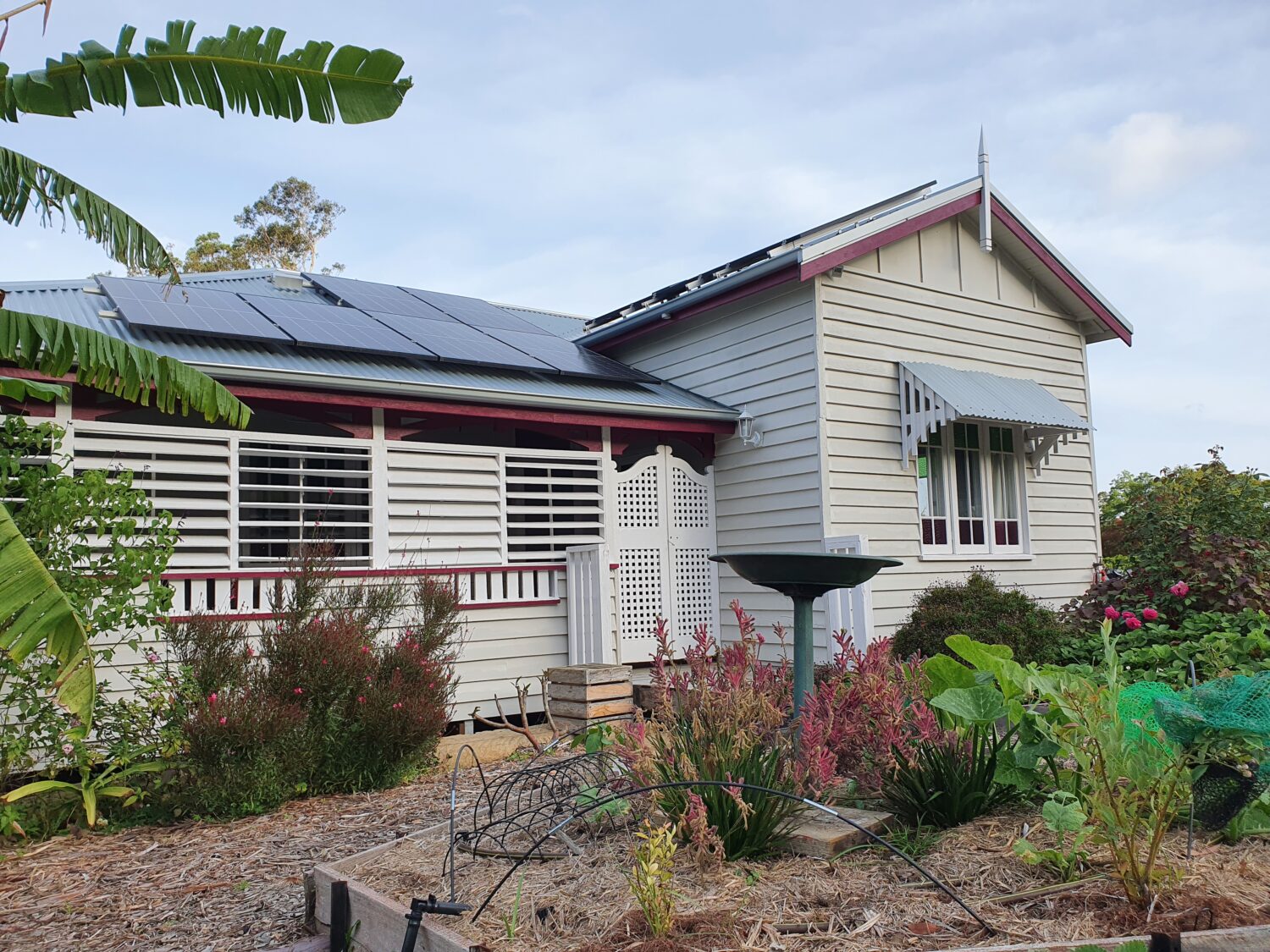 Dorothy at Narara Ecovillage