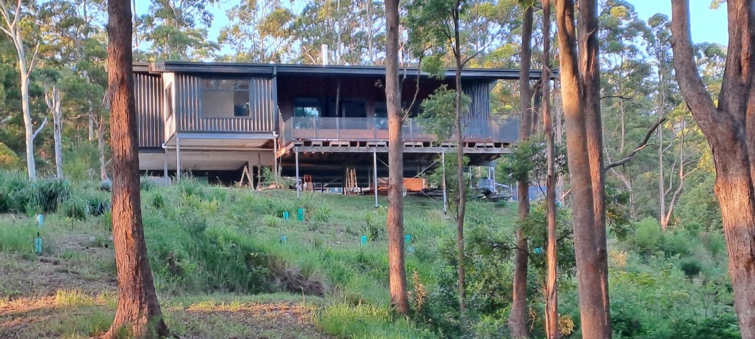 Reesville House 'gureya bumni'