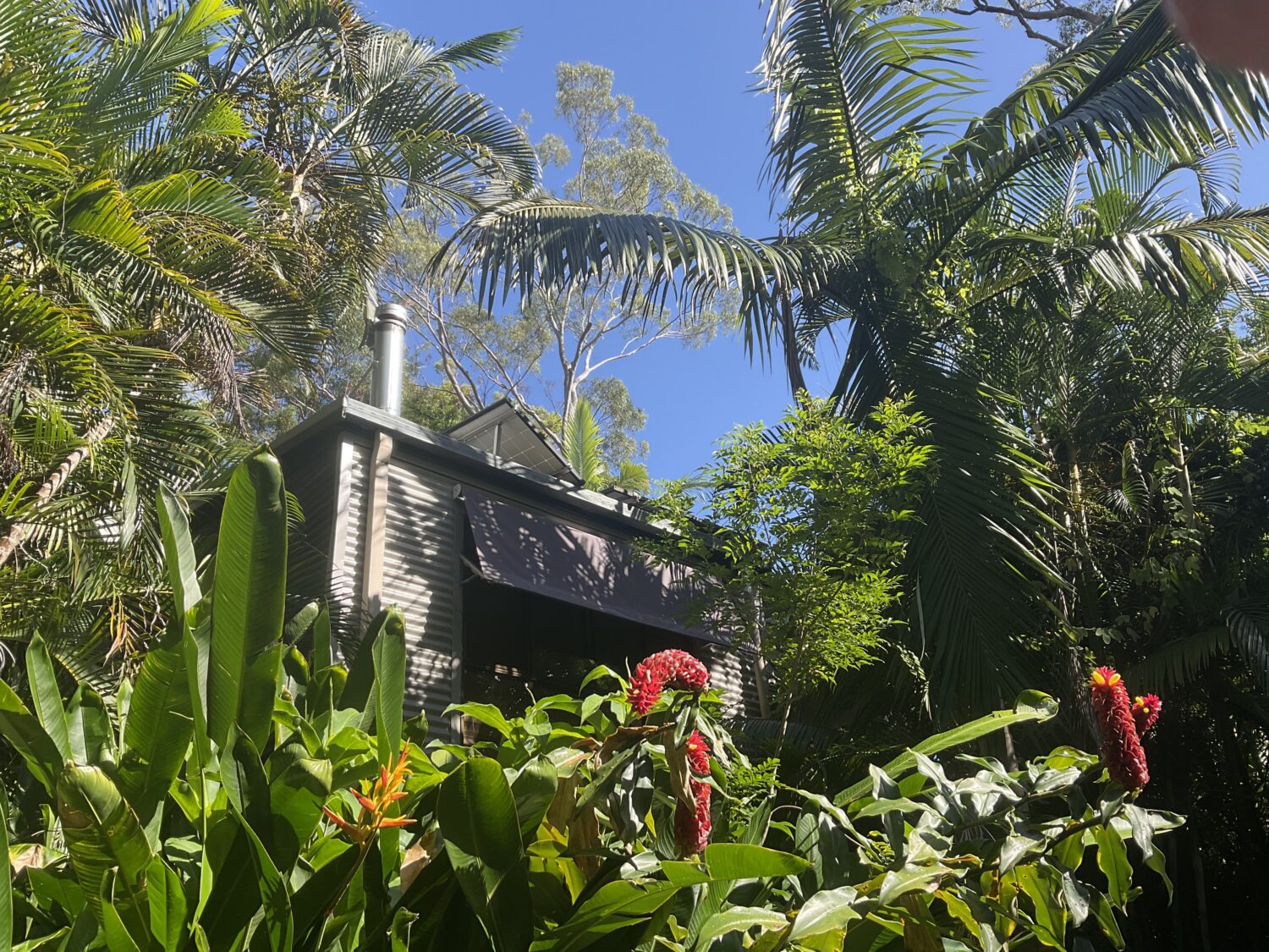 Retrofit 1980's 'Treehouse'