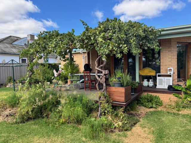 Irene & John's house